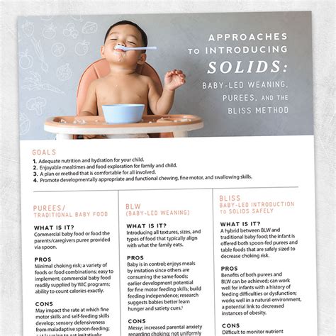 approaches  introducing solids baby led weaning purees  bliss method adult