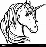 Einhorn Unicorn Kopf Unicorno Gezeichnete Ausmalbild Vektor Disegnati Sfondo Isolati Mano sketch template