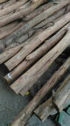 sal wood exporters  india