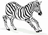 Zebra Coloring Pages Printable Kids Cartoon Color Realistic Kid Print Drawing Getcolorings Clipart Clipartmag sketch template