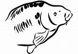 Carp Coloring Pages Fish Printable Categories Supercoloring Public sketch template