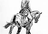 Reining Horse Drawing Getdrawings sketch template