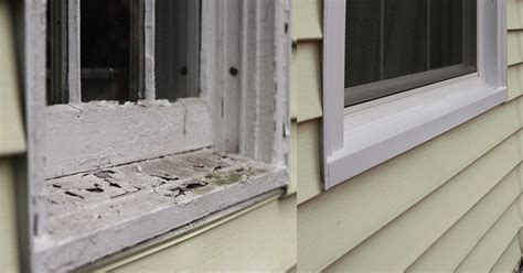 basics  window replacement  homeowners