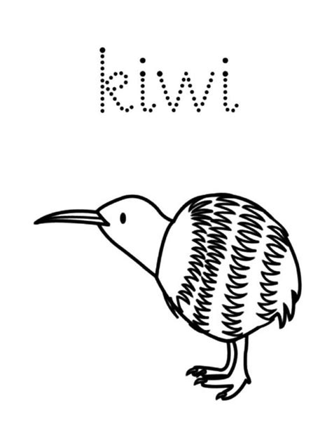 printable kiwi coloring pages kiwi      bird