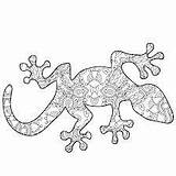 Lizard Mandalas Lizards sketch template