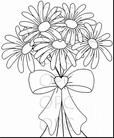 daisy flower coloring pages  getcoloringscom  printable