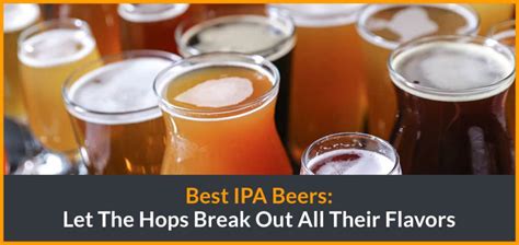 The 15 Best Ipa Beers Right Now 52brews Reviews