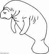 Manatee Coloring Pages Simple sketch template