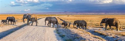 zuid afrika avontuur wildparken roadtrip de planeet reizen