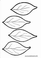 Coloring Leaves Pages Leaf Flower Flowers Printable Preschool Template Preschoolactivities Kindergarten Outline Molde Worksheets Crafts Toddler Actvities Comment First Leave sketch template