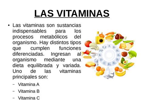 las principales vitaminas  jimmy abdel lujan visag issuu