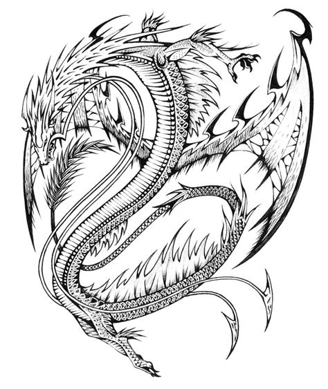 dragon coloring pages  adults    print