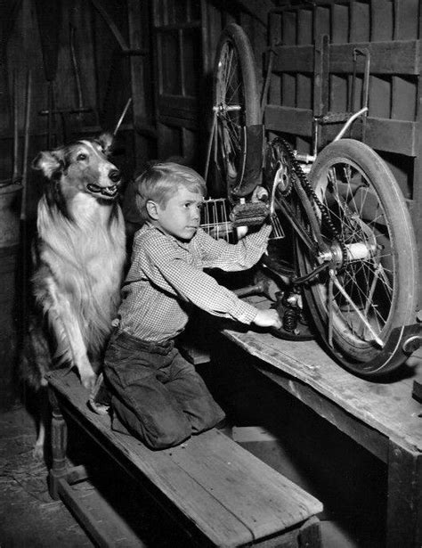 17 Best Images About Timmy And Lassie On Pinterest The