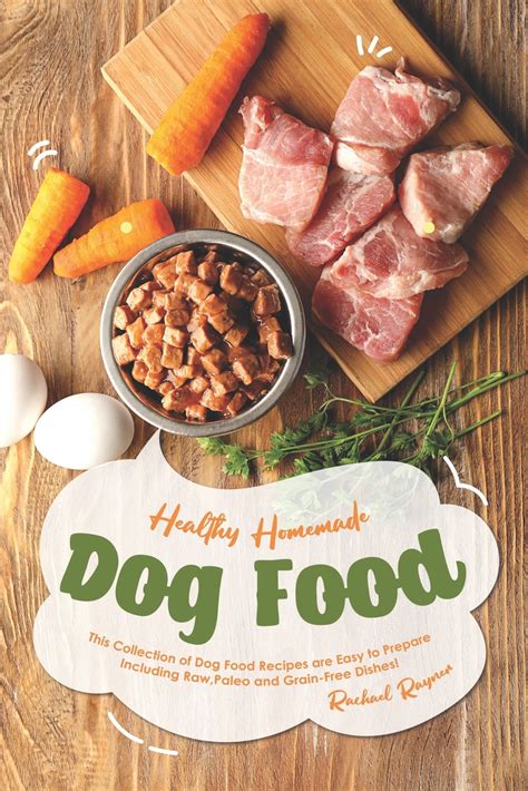 healthy homemade dog food  collection  dog food recipes  easy  prepare including