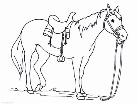 awesome picture   horse coloring pages  horse coloring pages