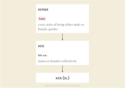 Sex Origin And Meaning Of Sex By Online Etymology Dictionary