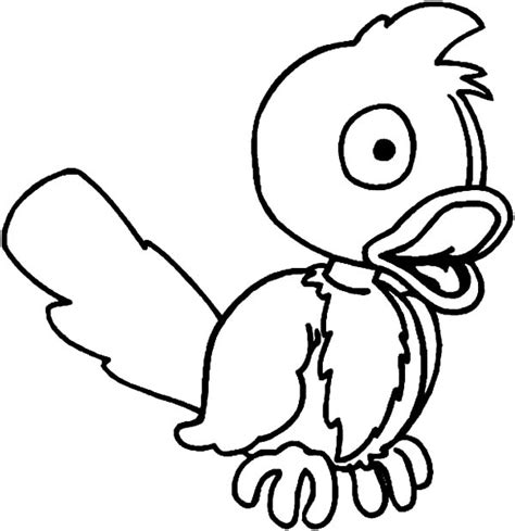 surprised cuckoo bird coloring pages coloring sky