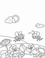 Coloring Pages Meadow Bees Over Printable Flowering Fly Two Print Muskrat Drawing Book Spring Color sketch template