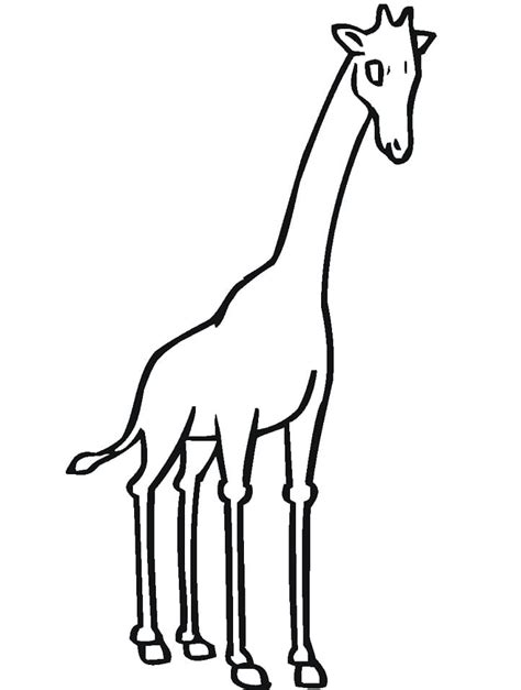 giraffe outline coloring page  printable coloring pages  kids
