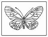 Butterfly Coloring Pages Print Kids sketch template