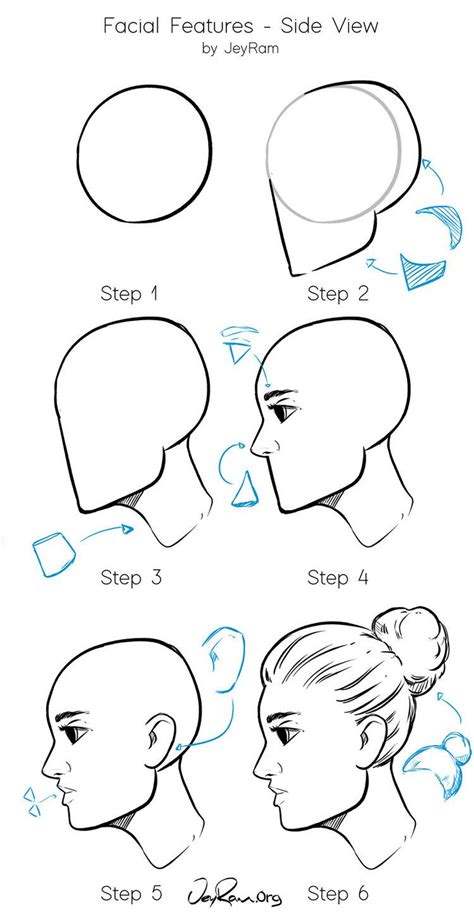 draw  face  side view step  step tutorial  beginners