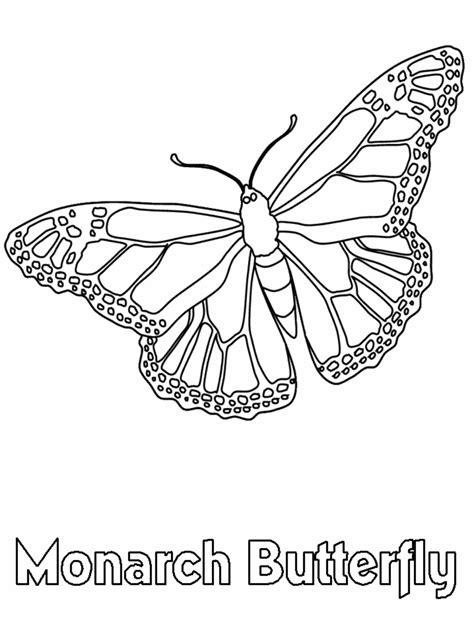 butterfly coloring pages soulmetalpodcast monarch butterfly coloring
