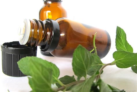 enhance your massage experience with essential oils atoka massage therapy