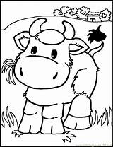 Cow Template Printable Coloring Popular sketch template