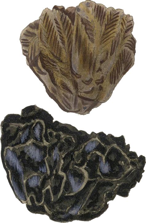 brown  black mica british exotic mineralogy