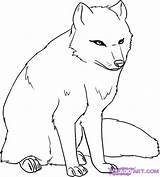 Fox Arctic Vulpe Colorat Planse Desene Artic Colering Ausmalbild Fuchs Malvorlage Ausmalbilder Animale Dragoart sketch template