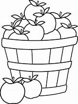 Basket Apple Coloring Apples Outline Clipart Pages Bushel Harvest Empty Fall Line Printable Template Fruit Clip Svg Sheets Color Colouring sketch template