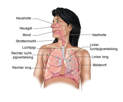 luchtwegen vasculitis stichting