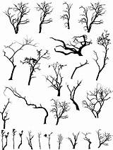 Tree Dead Trees Tattoo Drawing Silhouettes Branch Scary Collection Cherry Half Blossom Stock Illustration Depositphotos Dessin Silhouette Alive Getdrawings Creepy sketch template