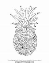 Pineapple Ananas Obst Ausmalbilder Svg Printable Zentangle Britto Romero Erwachsene Malvorlagen Malvorlage Ausgezeichnete Marie Crafters Lovesmag sketch template