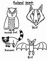 Nocturnal Animals Grade Sheet Coloring 1st Reference Smart Clipart Slideshare Print Library Clip sketch template