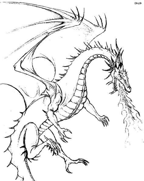 printable adult dragon coloring pages