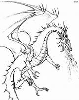 Coloring Dragon Printable Pages Kids Adult Adults Colouring Library Clipart sketch template
