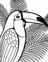 Parrot Colouring Toucan Getdrawings Getcolorings Colornimbus sketch template