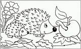 Herbst Ausmalbilder Window Muster Drachen Exklusiv Einzigartig Bulkcolor Mother Hedgehogs sketch template