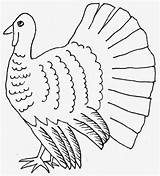 Coloring Pages Turkey Printable Thanksgiving Filminspector Sketches Lots Different Than Fun Also These sketch template