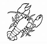 Lobster Coloring Coloringcrew sketch template