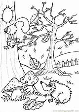 Coloring Animal Pages Forest Scene Fall Printable Woodland Animals Kids Azcoloring Drawing sketch template