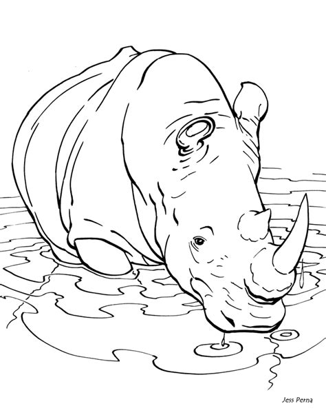 publishing illustration coloring book childrens picture book rhino