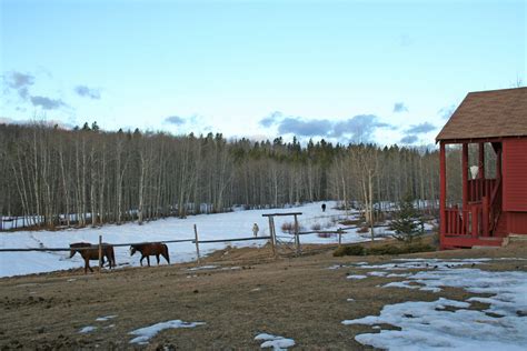 homeplace ranch  alberta canada  paradise  horse lo flickr