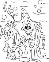Coloring Starfish Sea Fish Color sketch template