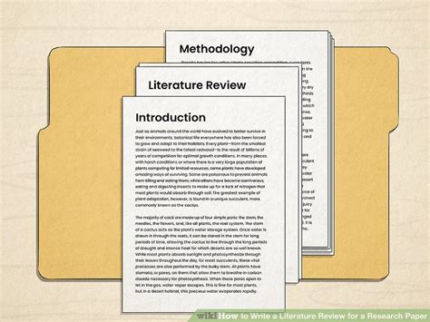 write  literature review   research paper
