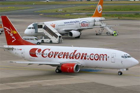 wings   cabin crew corendon airlines