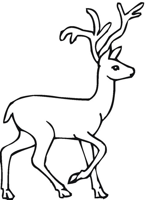 easy drawing   deer  getdrawings