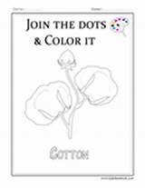 Cotton Questions Worksheets Printables Color Coloring Growing sketch template
