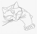Cat Line Drawing Calico Sleepy Coloring Outline Drawings Only Contour Pages Sleeping Clip Clipart Cats Pixabay Easy Vector Face Cliparts sketch template